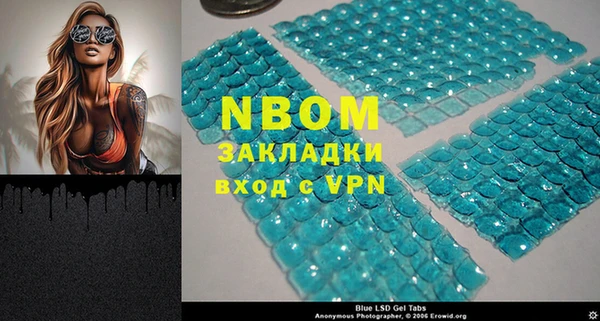 индика Аркадак