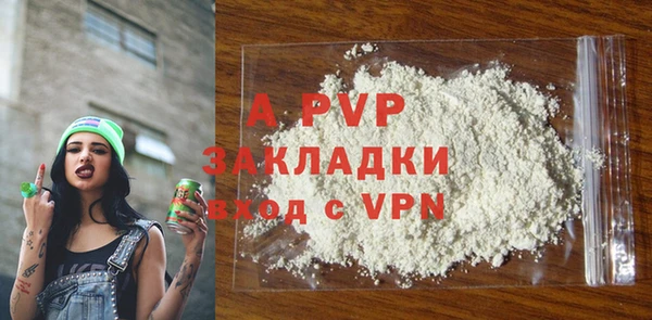 индика Аркадак