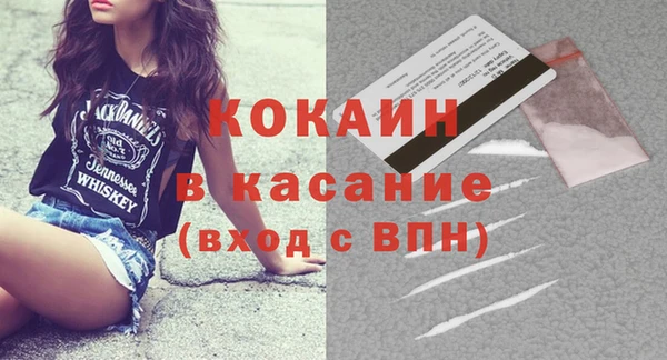индика Аркадак