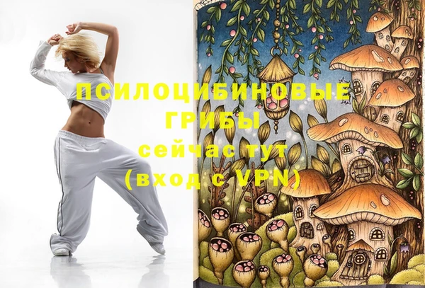 индика Аркадак