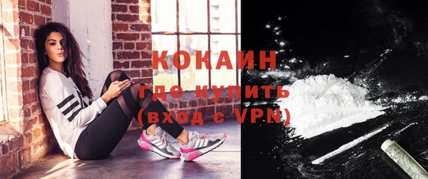 индика Аркадак