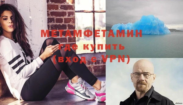 индика Аркадак
