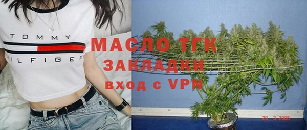 индика Аркадак