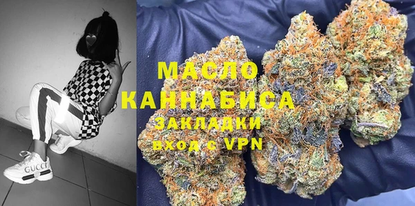 индика Аркадак