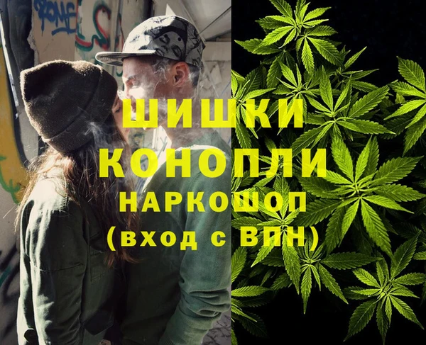 индика Аркадак