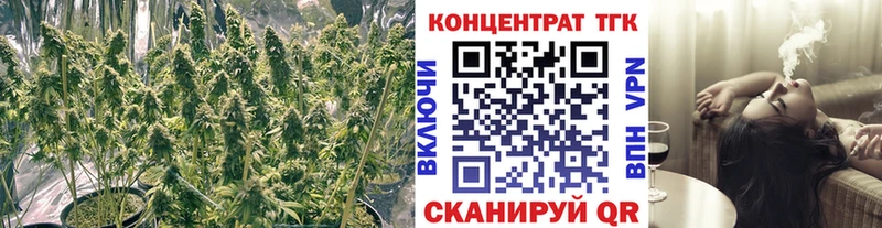 ТГК Wax  продажа наркотиков  Сосновый Бор 